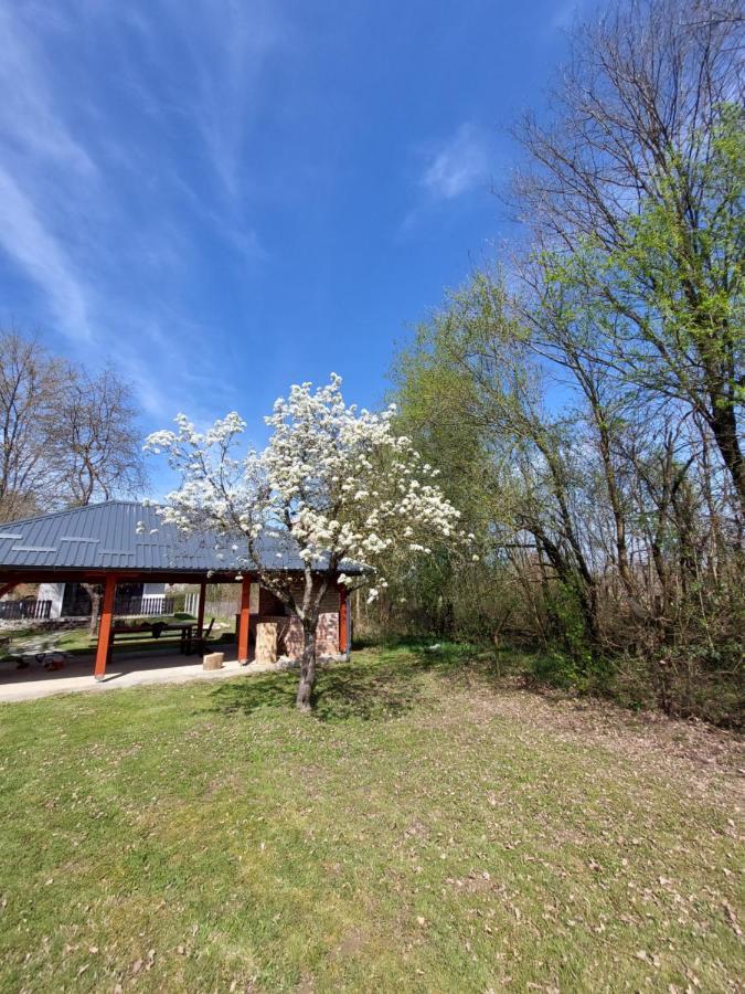 Petrinja House Kupa Mbヴィラ エクステリア 写真